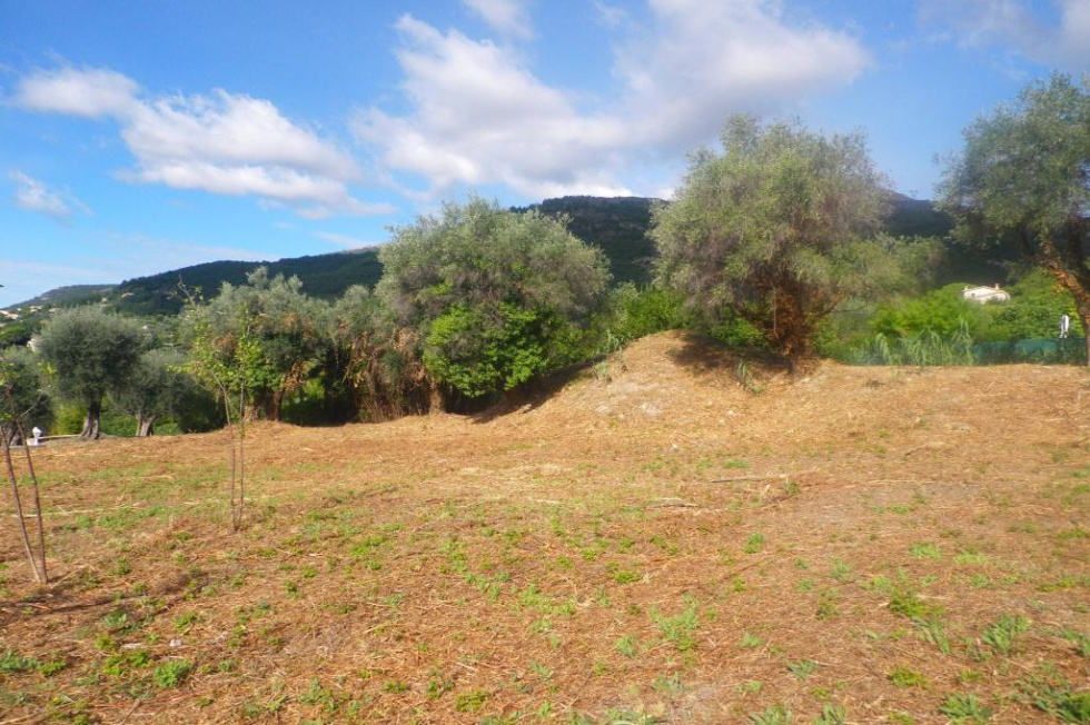 IMGP0427